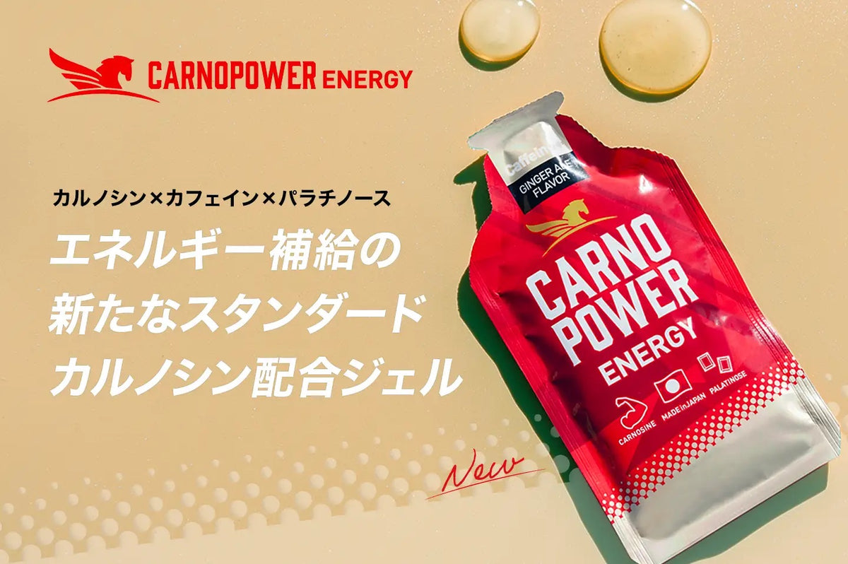 Carno Power カルノパワー ENERGY GINGER ALE Flavor＜Caffeine＋