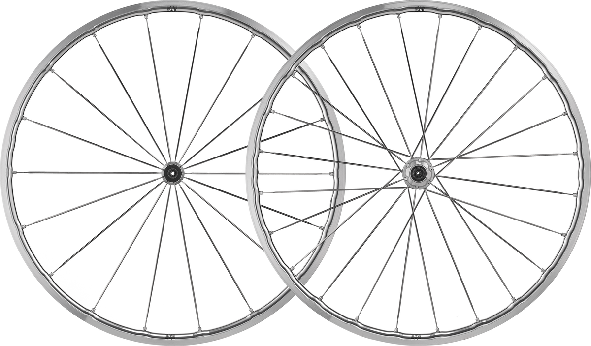 4B0243E1-9E38-4237-89F4-