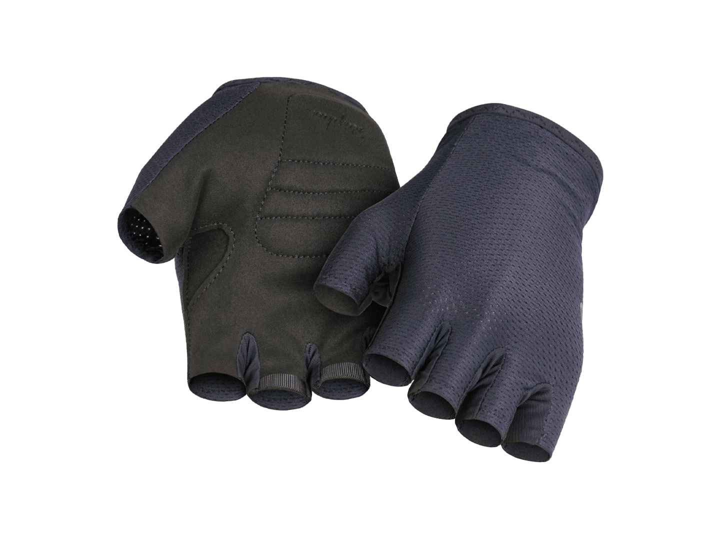 Rapha – SPORTS CYCLE SHOP Swacchi