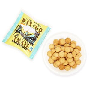 前田製菓 WAY TO GO SALTY COCONUTS 賞味期限2026.03.31